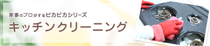 キッチンクリーニング キッチンクリーニング